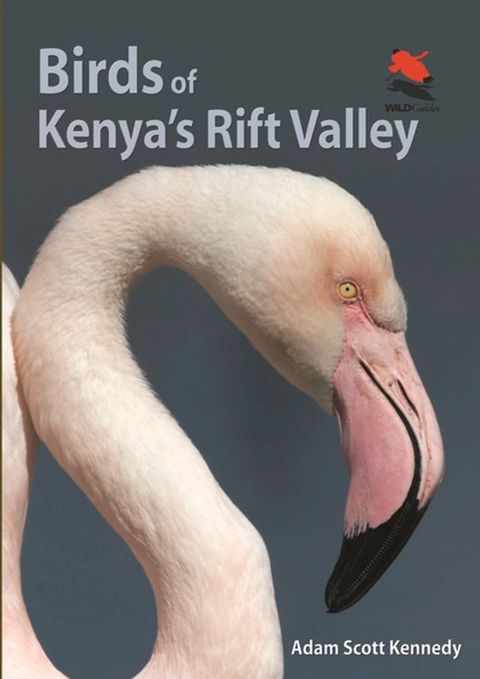 Birds of Kenya's Rift Valley(Kobo/電子書)