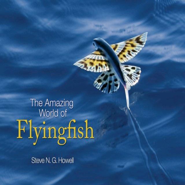  The Amazing World of Flyingfish(Kobo/電子書)