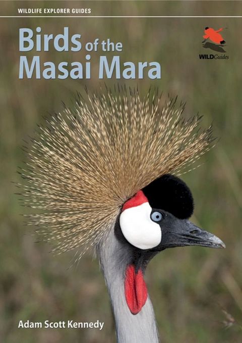 Birds of the Masai Mara(Kobo/電子書)