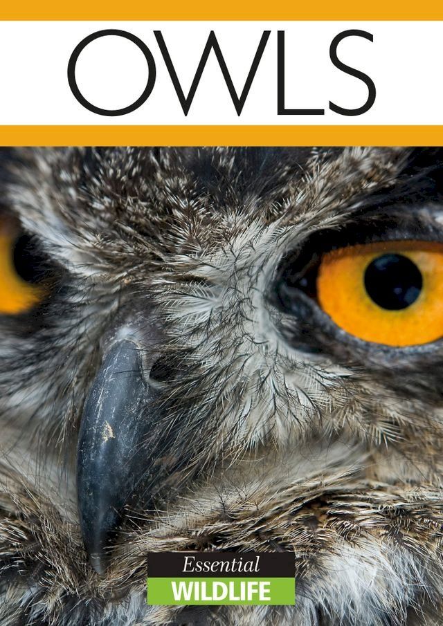  Owls(Kobo/電子書)