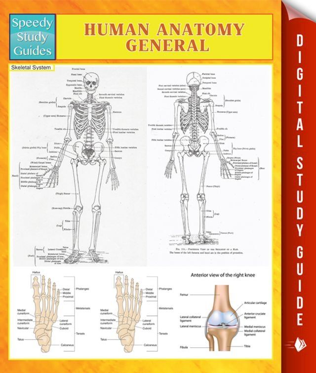  Human Anatomy General Speedy Study Guides(Kobo/電子書)