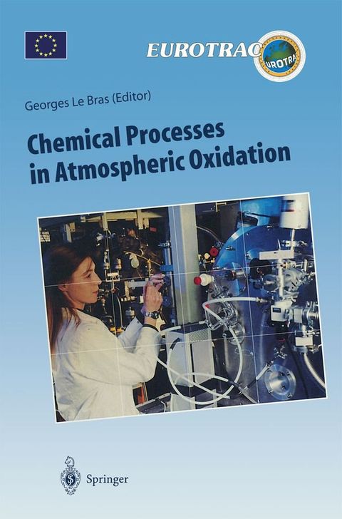 Chemical Processes in Atmospheric Oxidation(Kobo/電子書)