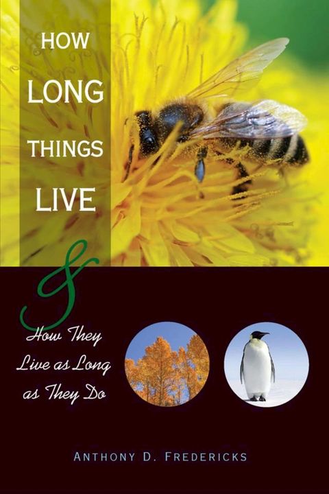 How Long Things Live(Kobo/電子書)