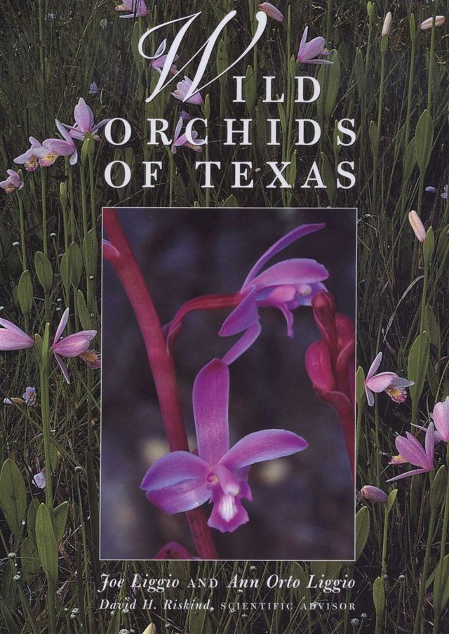  Wild Orchids of Texas(Kobo/電子書)