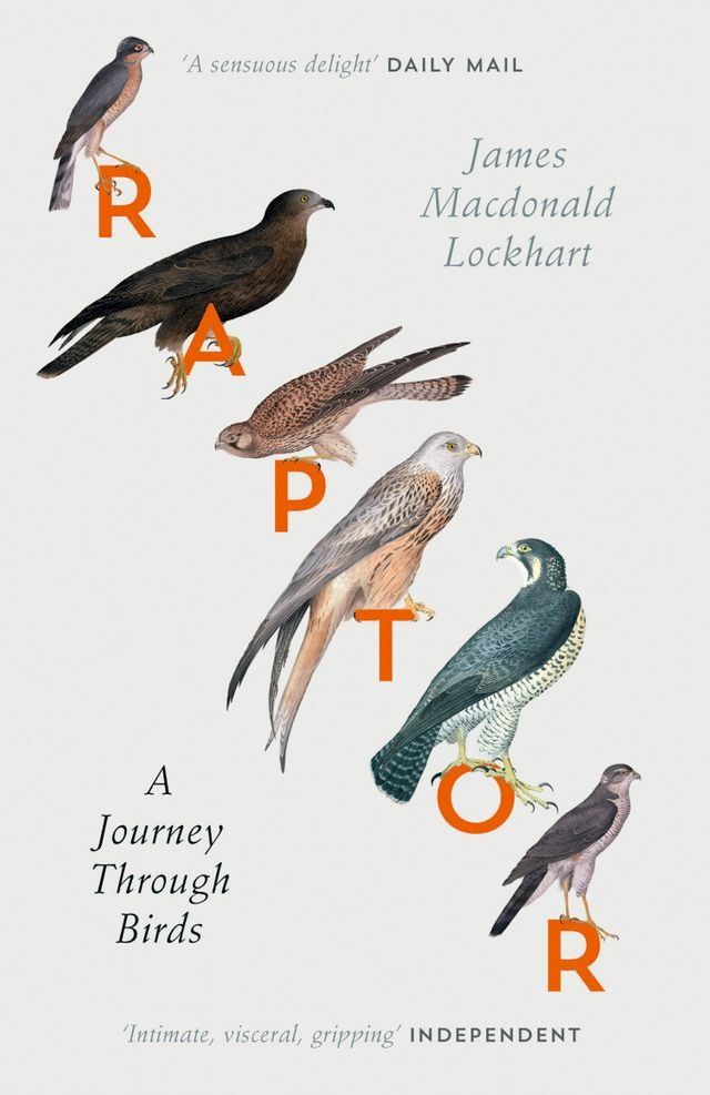  Raptor: A Journey Through Birds(Kobo/電子書)