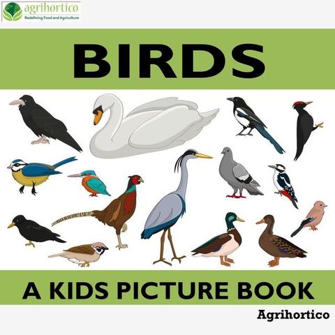 Birds: A Kids Picture Book(Kobo/電子書)