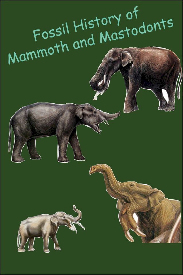  Fossil History of Mammoth and Mastodonts(Kobo/電子書)