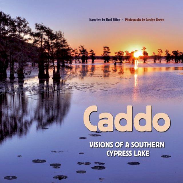  Caddo(Kobo/電子書)