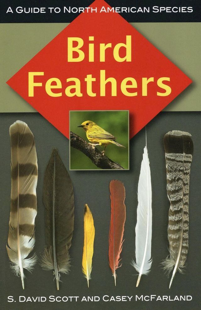  Bird Feathers(Kobo/電子書)