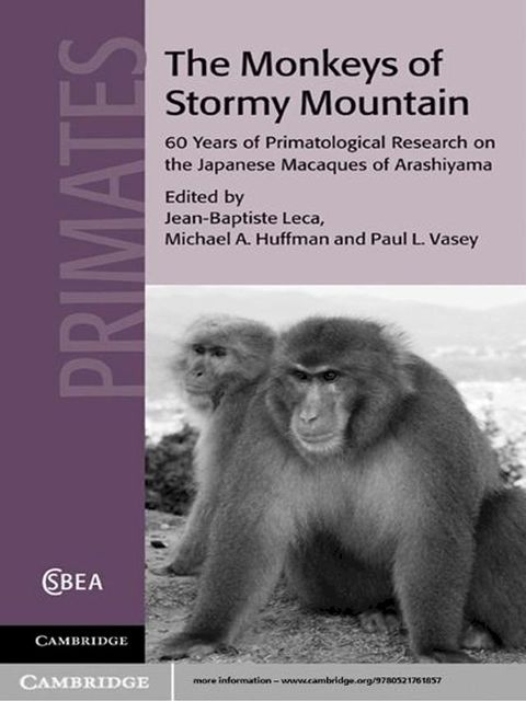 The Monkeys of Stormy Mountain(Kobo/電子書)