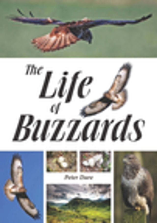  The Life of Buzzards(Kobo/電子書)