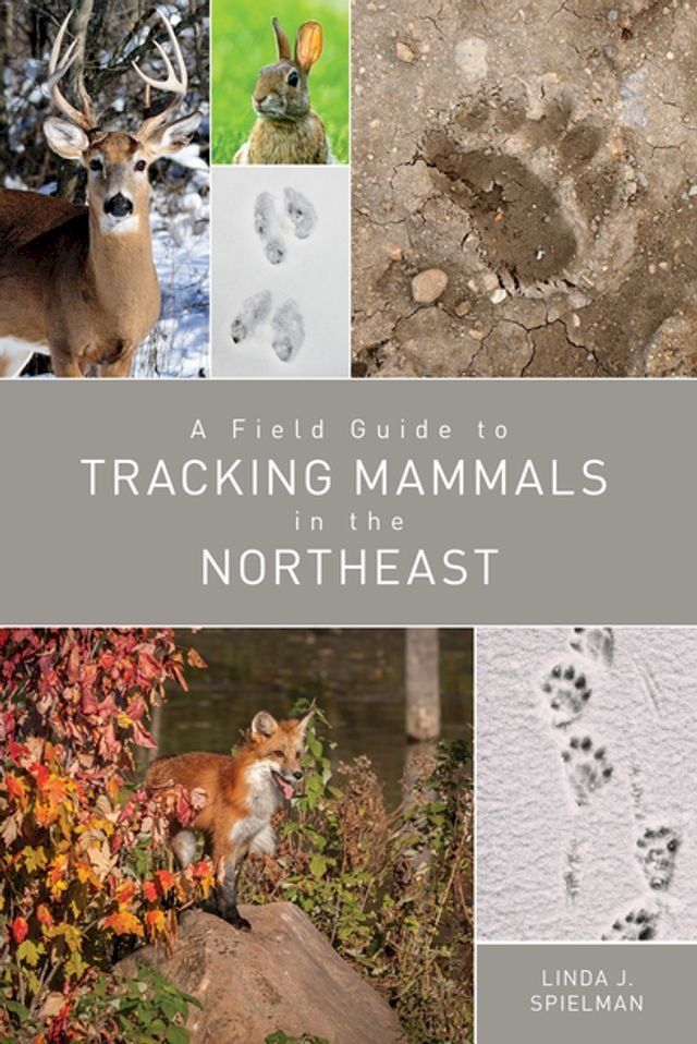  A Field Guide to Tracking Mammals in the Northeast(Kobo/電子書)