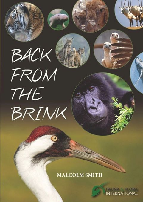 Back from the Brink(Kobo/電子書)