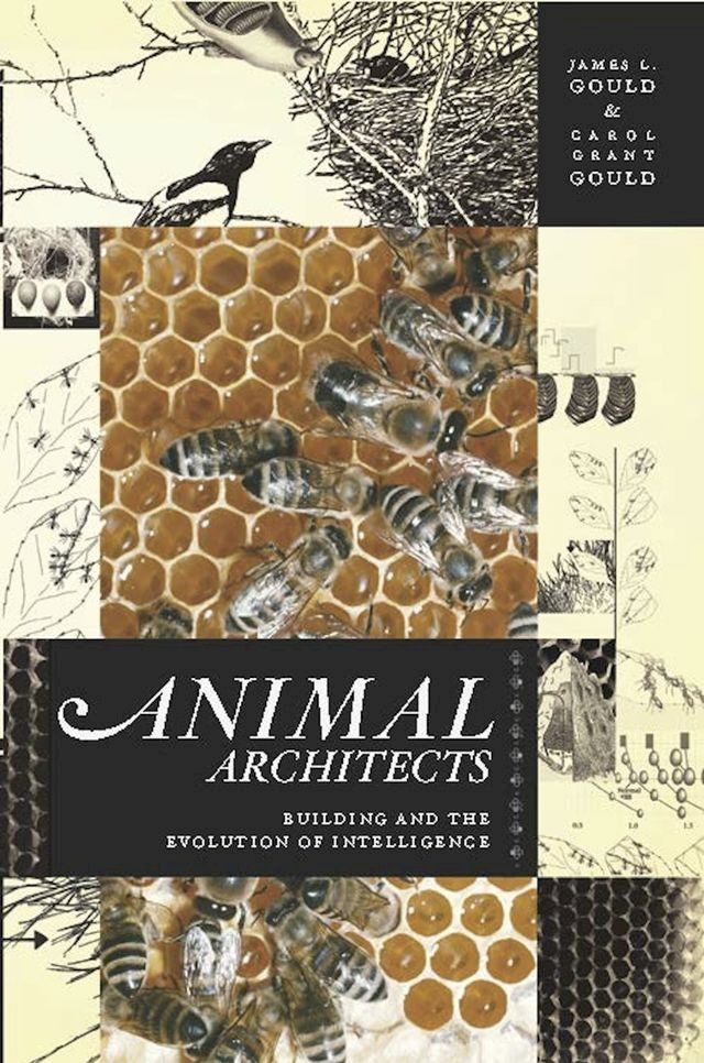  Animal Architects(Kobo/電子書)