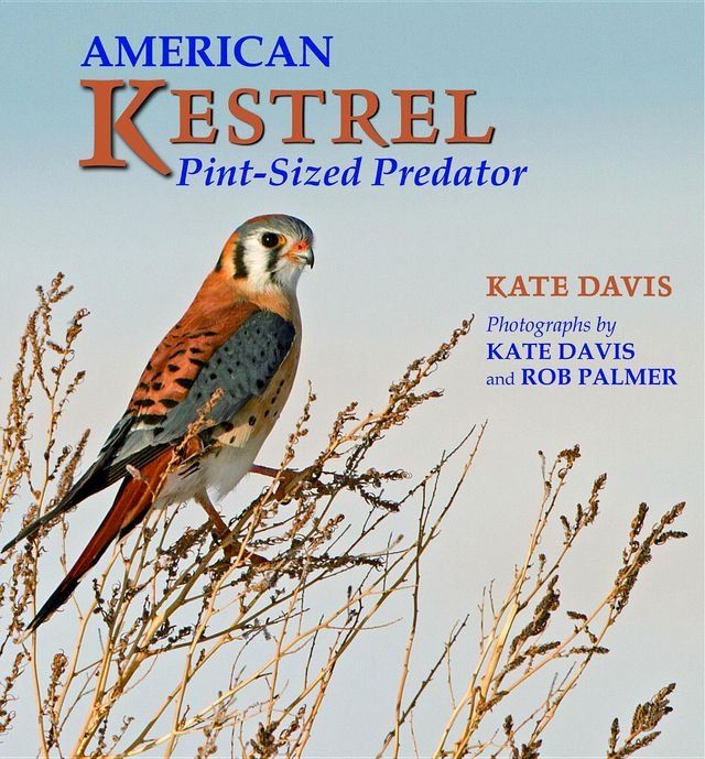  American Kestrel(Kobo/電子書)