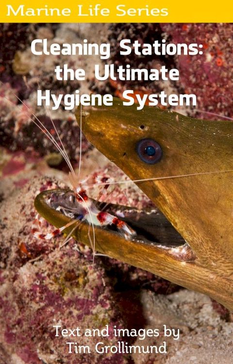 Cleaning Stations: the Ultimate Hygiene System(Kobo/電子書)