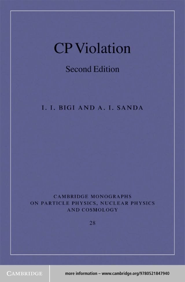  CP Violation(Kobo/電子書)