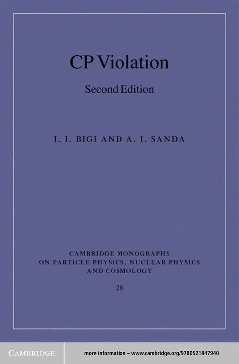 CP Violation(Kobo/電子書)