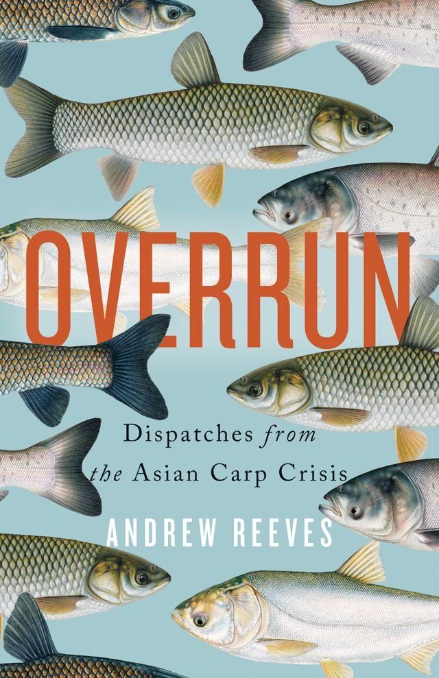  Overrun(Kobo/電子書)