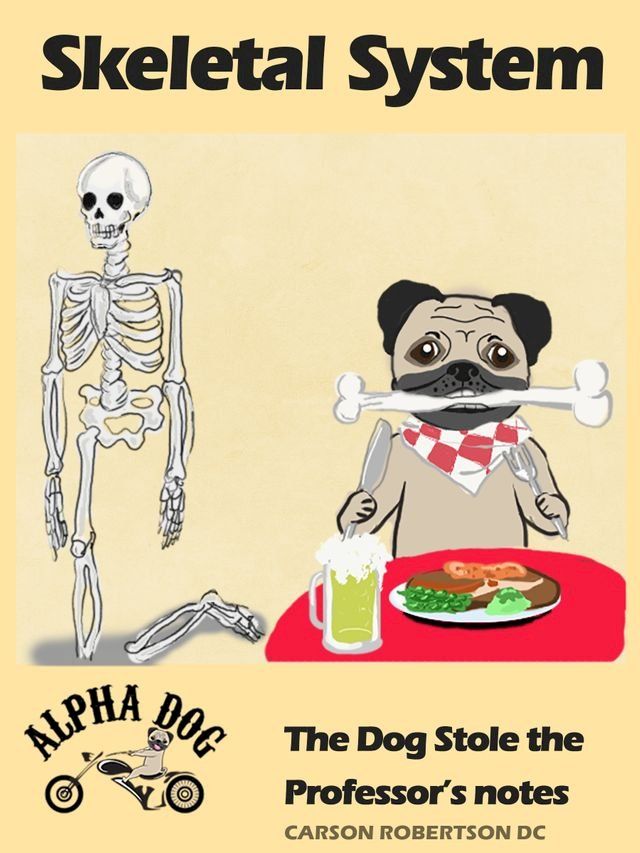  Skeletal System: The Dog Stole the Professor's Notes(Kobo/電子書)