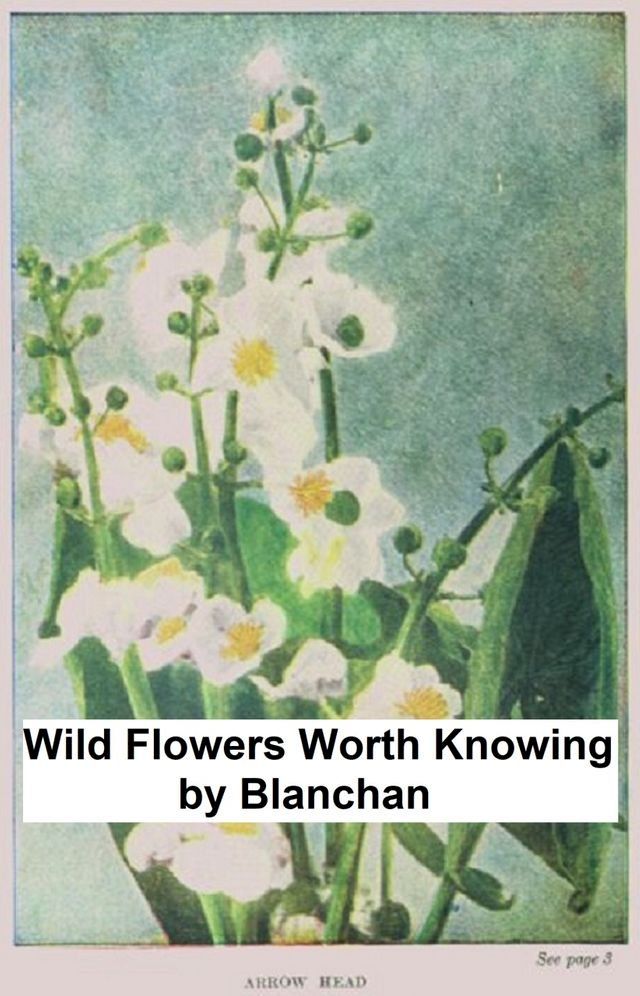  Wild Flowers Worth Knowing(Kobo/電子書)