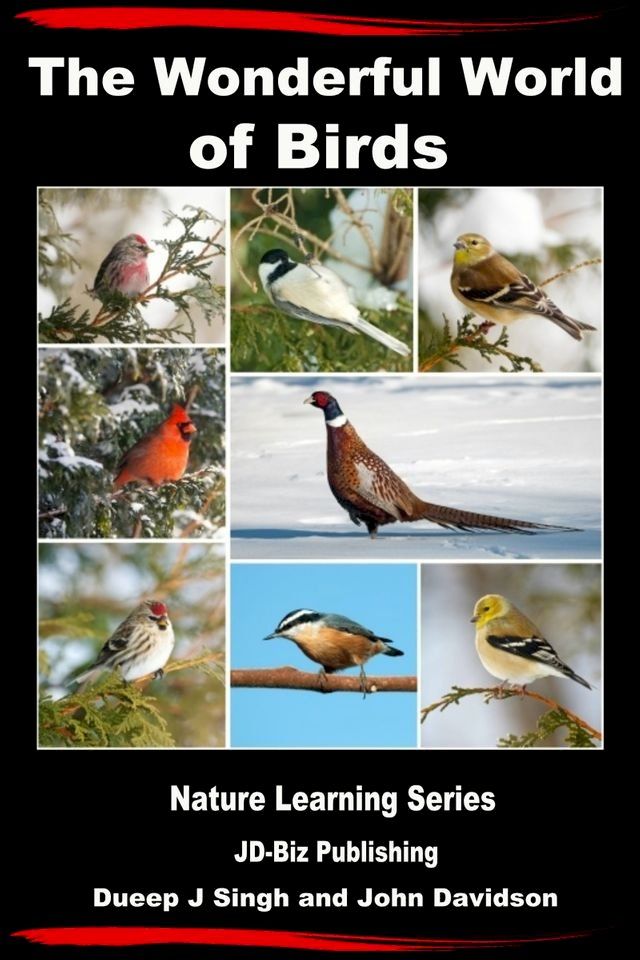  The Wonderful World of Birds: How to Make Friends With Our Feathered Friends(Kobo/電子書)