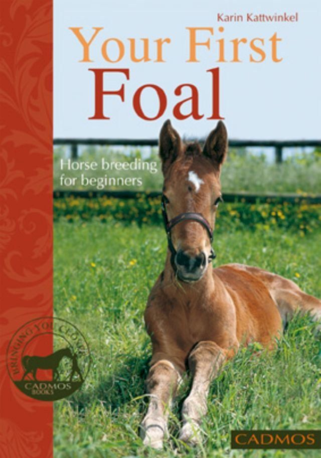  Your First Foal(Kobo/電子書)