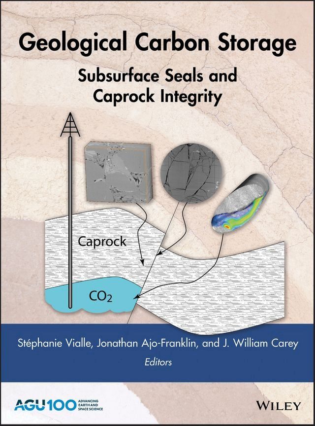  Geological Carbon Storage(Kobo/電子書)