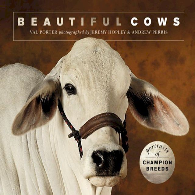  Beautiful Cows(Kobo/電子書)