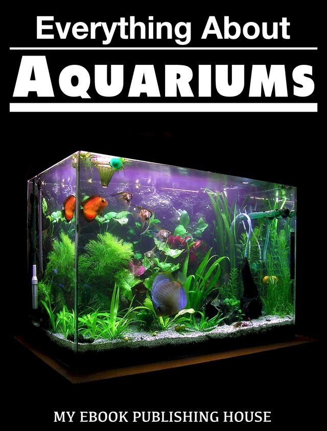  Everything About Aquariums(Kobo/電子書)