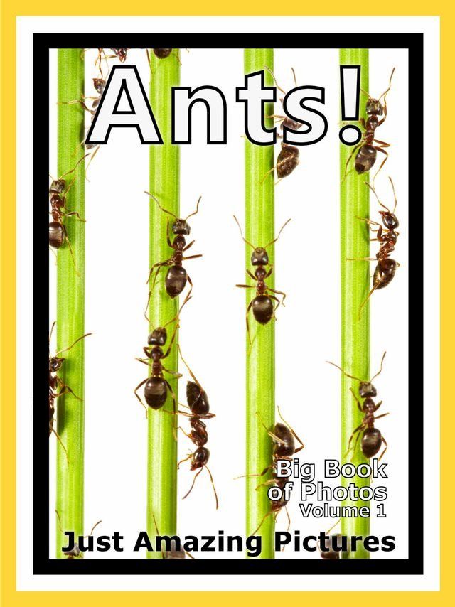  Just Ant Colony Photos! Big Book of Photographs & Pictures of Ants and Ant Colonies, Vol. 1(Kobo/電子書)