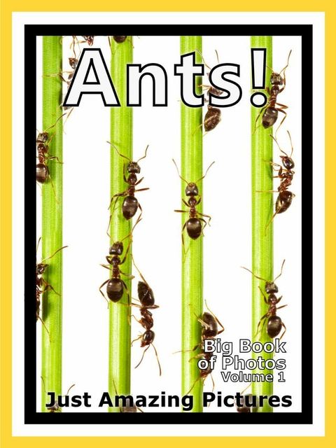 Just Ant Colony Photos! Big Book of Photographs & Pictures of Ants and Ant Colonies, Vol. 1(Kobo/電子書)