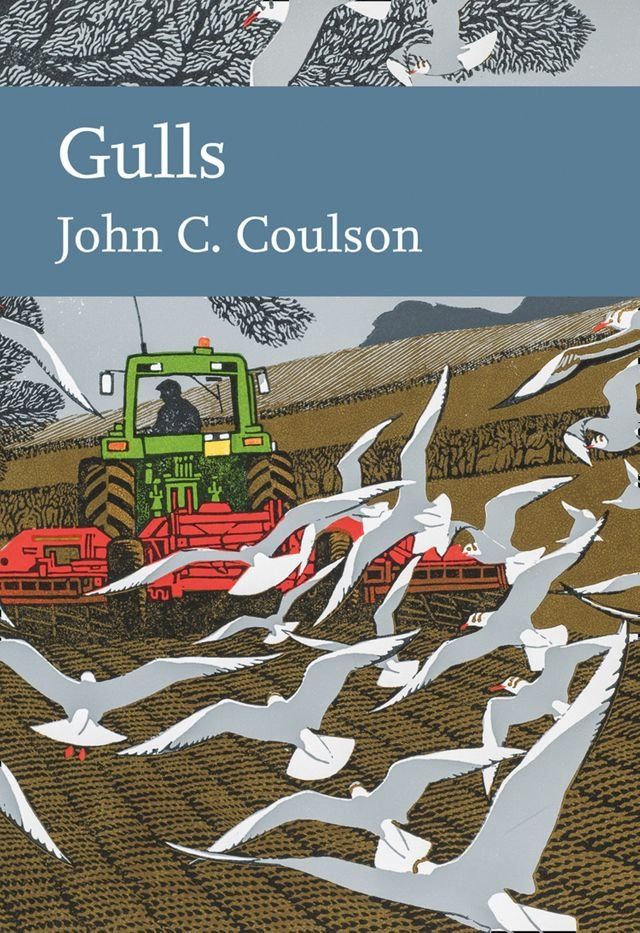  Gulls (Collins New Naturalist Library, Book 139)(Kobo/電子書)