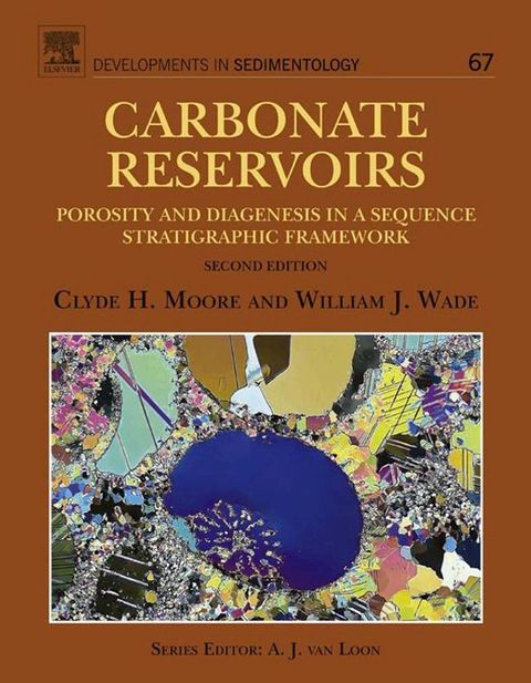 Carbonate Reservoirs(Kobo/電子書)