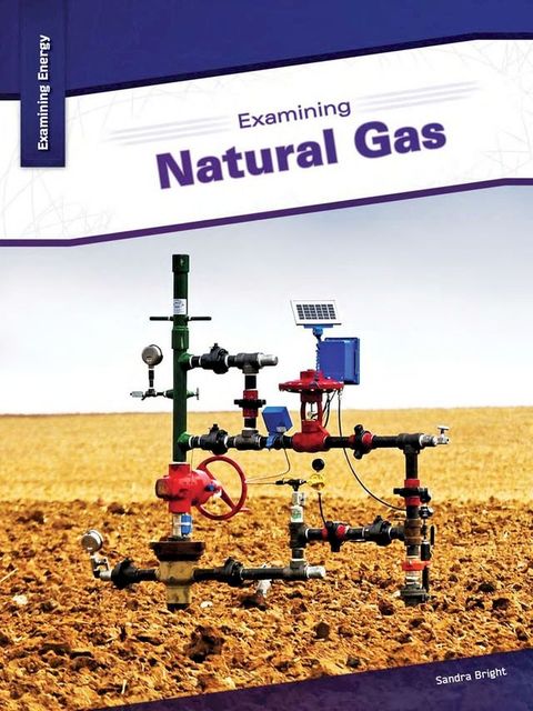 Examining Natural Gas(Kobo/電子書)