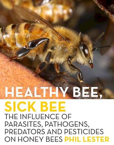 Healthy Bee, Sick Bee(Kobo/電子書)