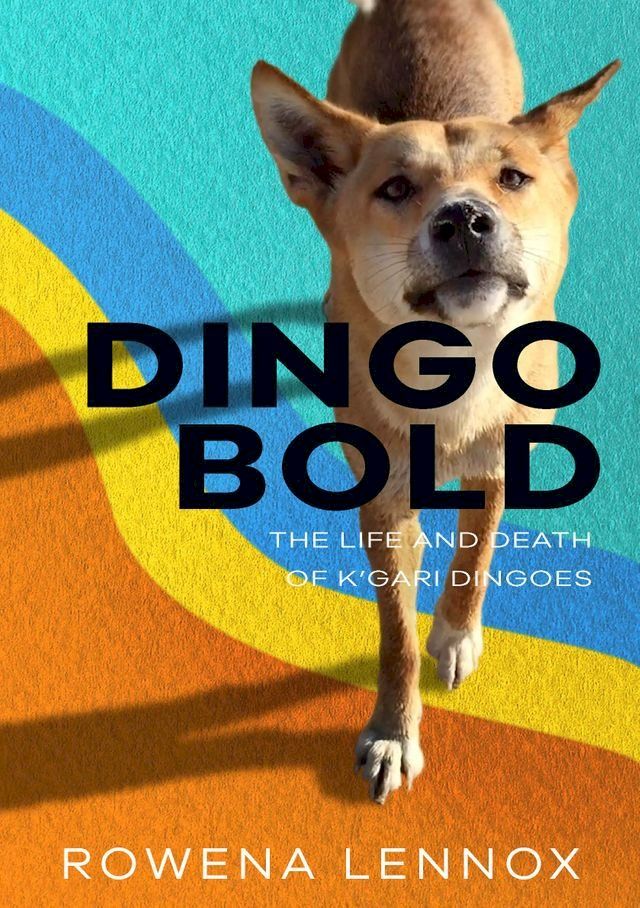  Dingo Bold(Kobo/電子書)