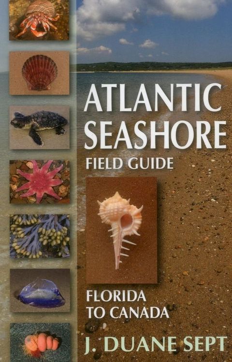 Atlantic Seashore Field Guide(Kobo/電子書)