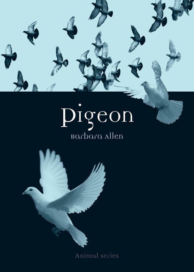  Pigeon(Kobo/電子書)