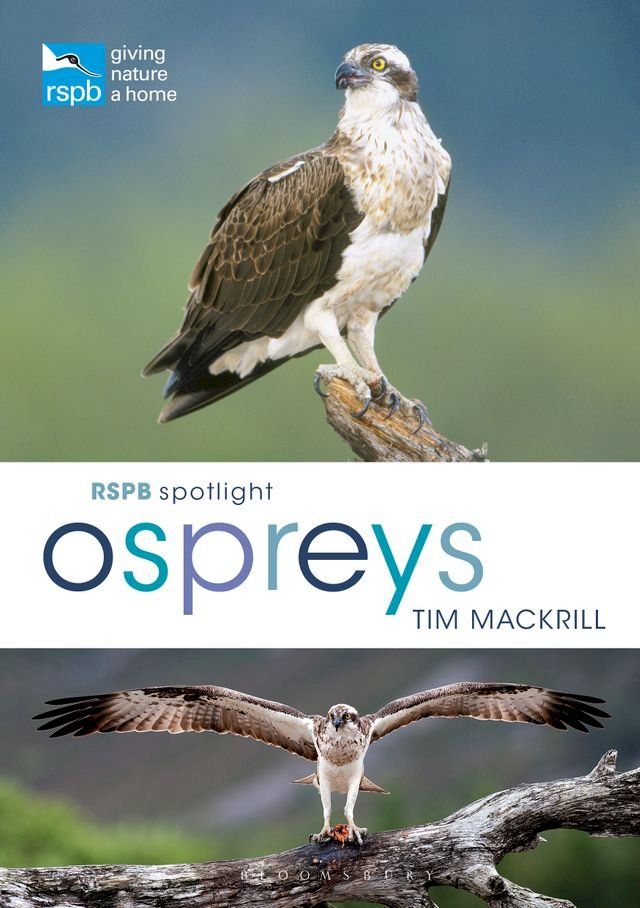  RSPB Spotlight Ospreys(Kobo/電子書)