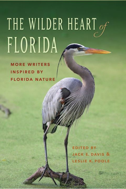 The Wilder Heart of Florida(Kobo/電子書)