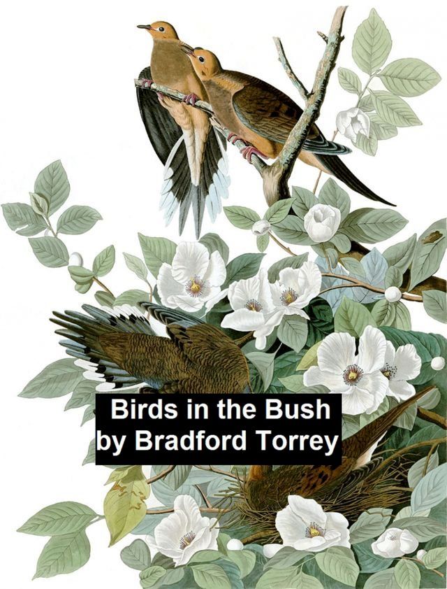  Birds in the Bush(Kobo/電子書)