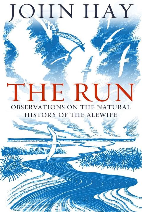 The Run(Kobo/電子書)