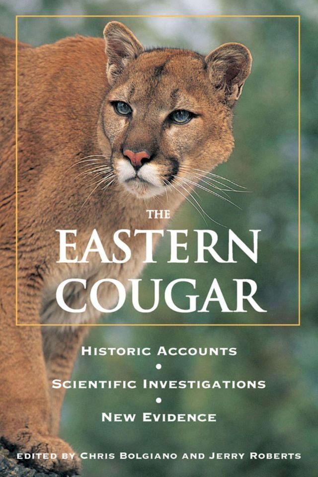  Eastern Cougar(Kobo/電子書)