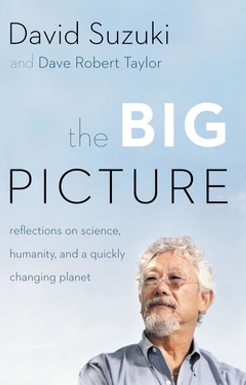 The Big Picture(Kobo/電子書)