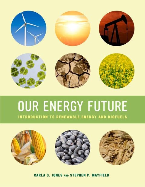 Our Energy Future(Kobo/電子書)