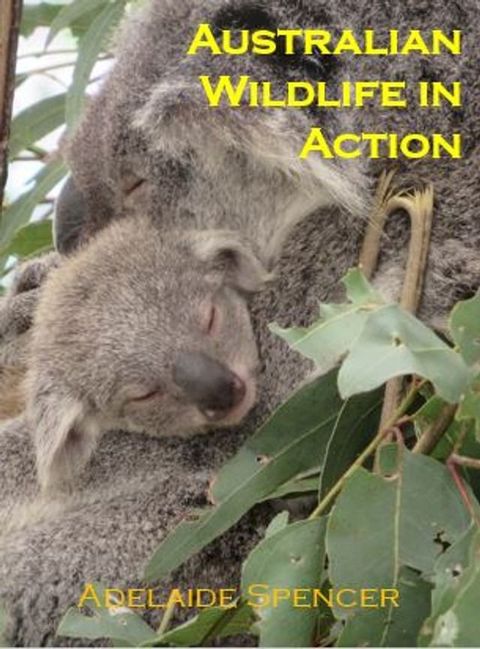 Australian Wildlife in Action(Kobo/電子書)