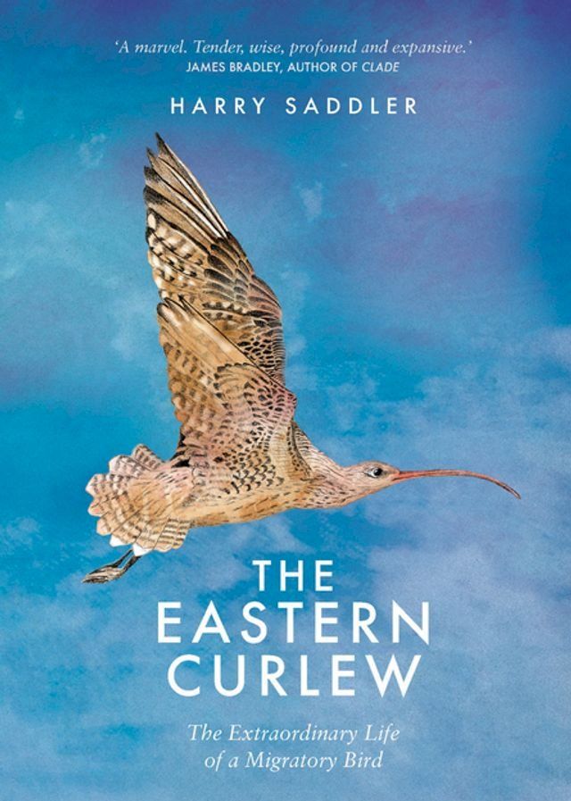  Eastern Curlew(Kobo/電子書)