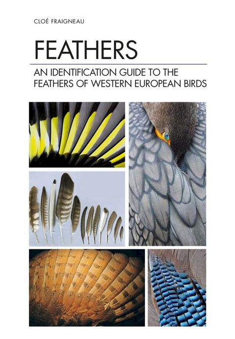 Feathers(Kobo/電子書)