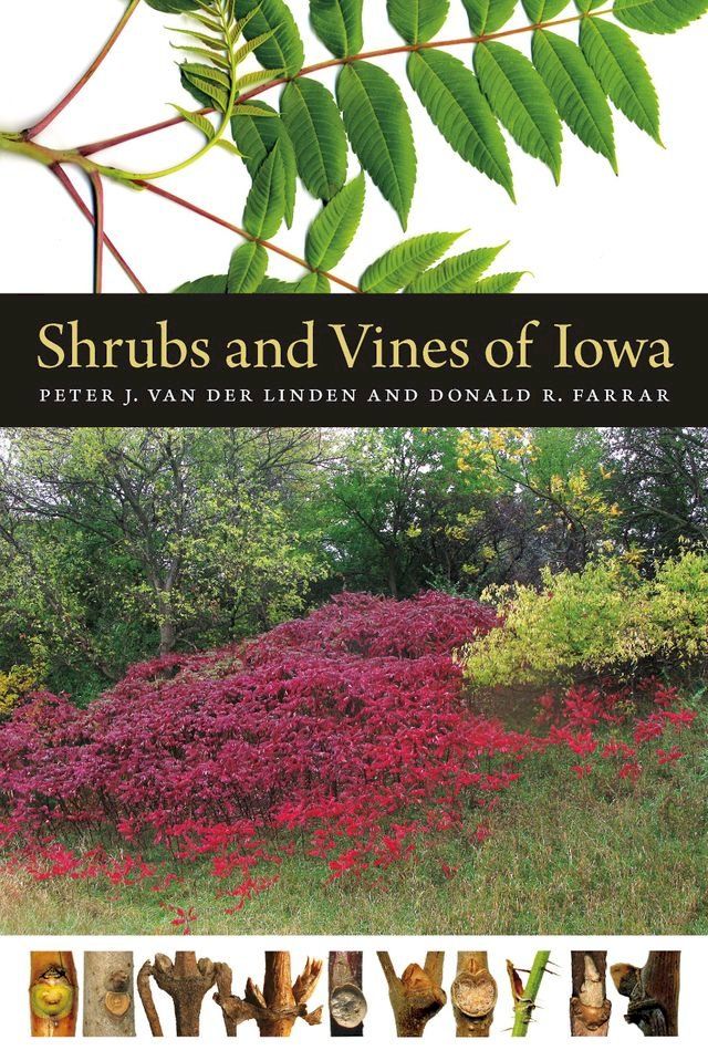  Shrubs and Vines of Iowa(Kobo/電子書)